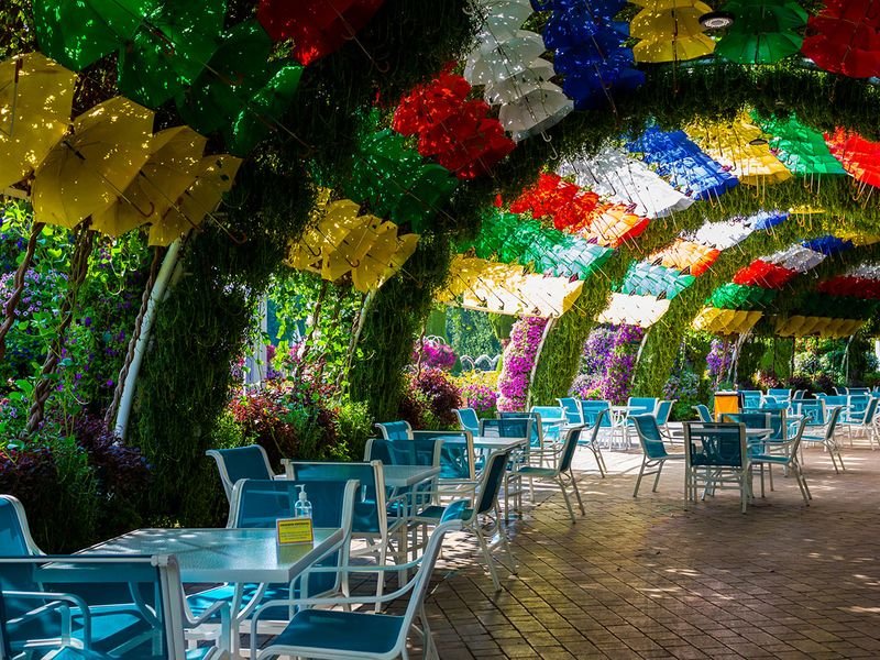 MIRACLE GARDEN DUBAI