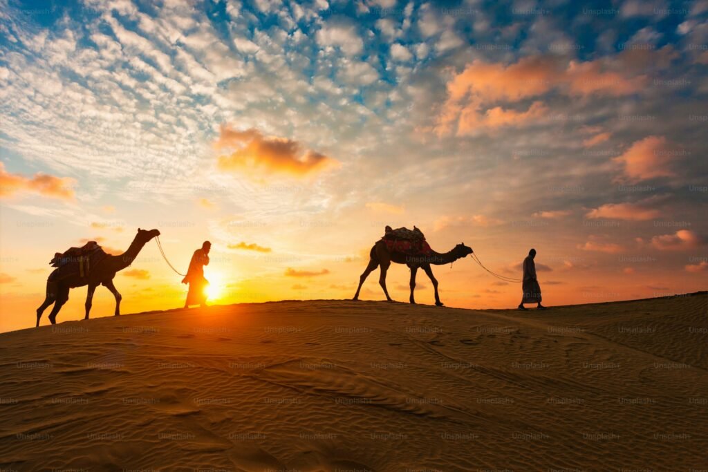 SAFARI EN EL DESIERTO